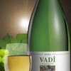 Diren Vadi