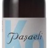 Paşaeli K2 2008