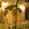 Picante Alacati3