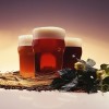 Bira, yaşam sanatını keşfettiren içki
