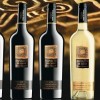 Şili’nin yükselen güneşi: Espiritu de Chile