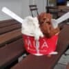 Muá Gelatieri d’Italia