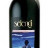 Selendi 2009