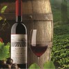 Alçıtepe’nin merakla beklenen 2009 rekoltesi satışa sunuldu