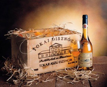 Tokay