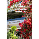 Ela Excellence Resort aile deneyimi